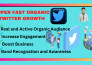 do fast organic twitter growth ,schedule posting, promotion, and marketing